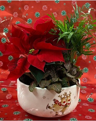 Festive Christmas Planter Flower Arrangement
