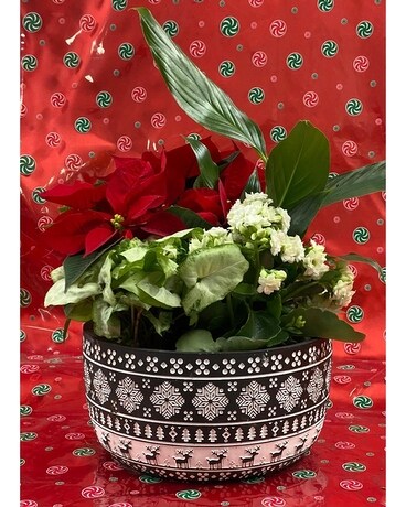 Snowflake Planter Flower Arrangement