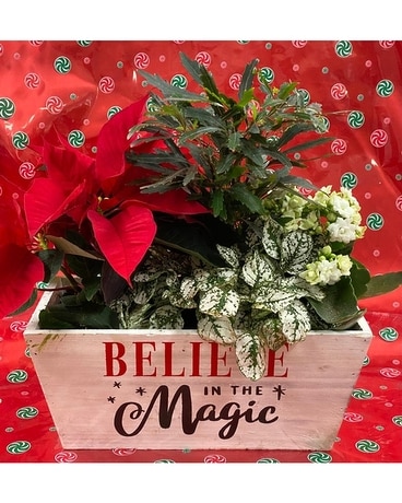 Believe in Magic Flower Arrangement