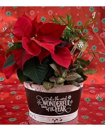 Wonderful Time of the Year Flower Arrangement