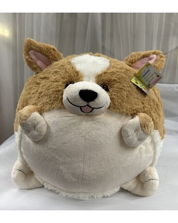 Chubby Dog Gifts