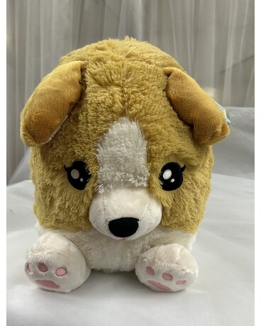Soft Dog Gifts