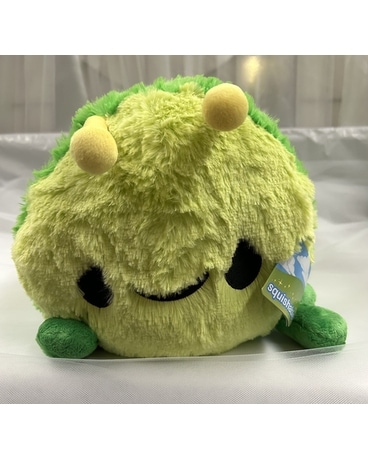 Squishable Caterpillar Gifts