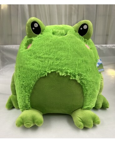 Squishable Frog Gifts