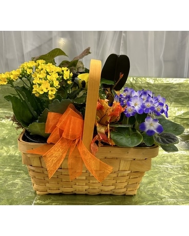 Fall Plant Basket, More! Plant