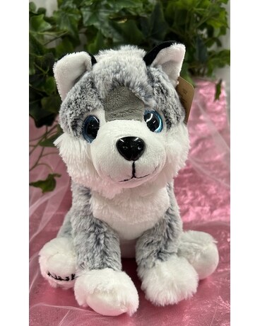 Stuffed Animals Delivery Sitka AK - Bev's Flowers & Gifts