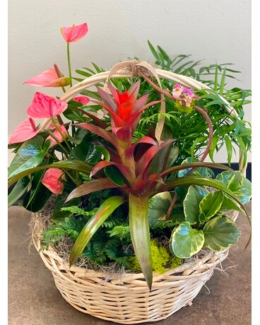Large Garden Basket