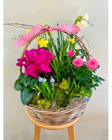 Bulb Garden Basket Dish Garden Plant