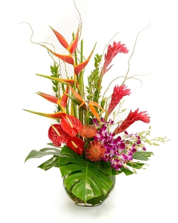 Designer's Choice - Tropical, Every Month Flower Arrangement