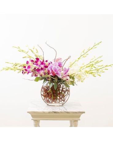 Orchids, Orchids, Orchids!