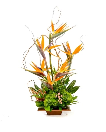 A Taste of Paradise Flower Arrangement