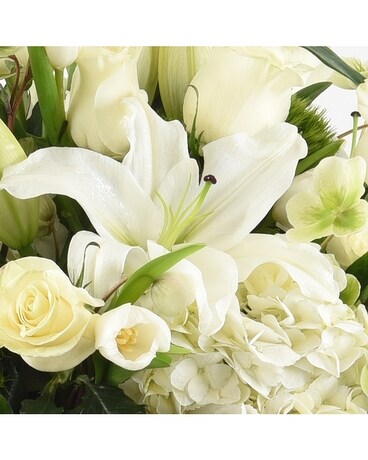 Monochromatic White Flower Arrangement