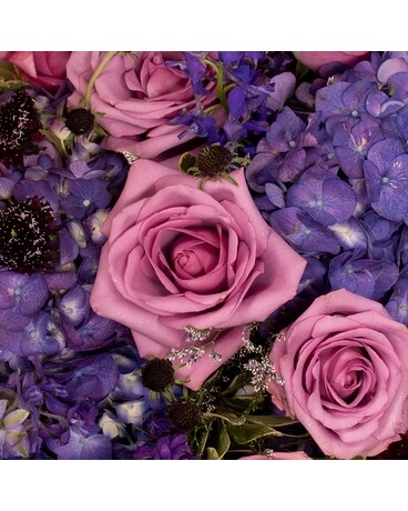 Lavender & Purple