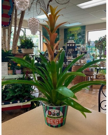 74.99 size,  inches height and  inches wide.