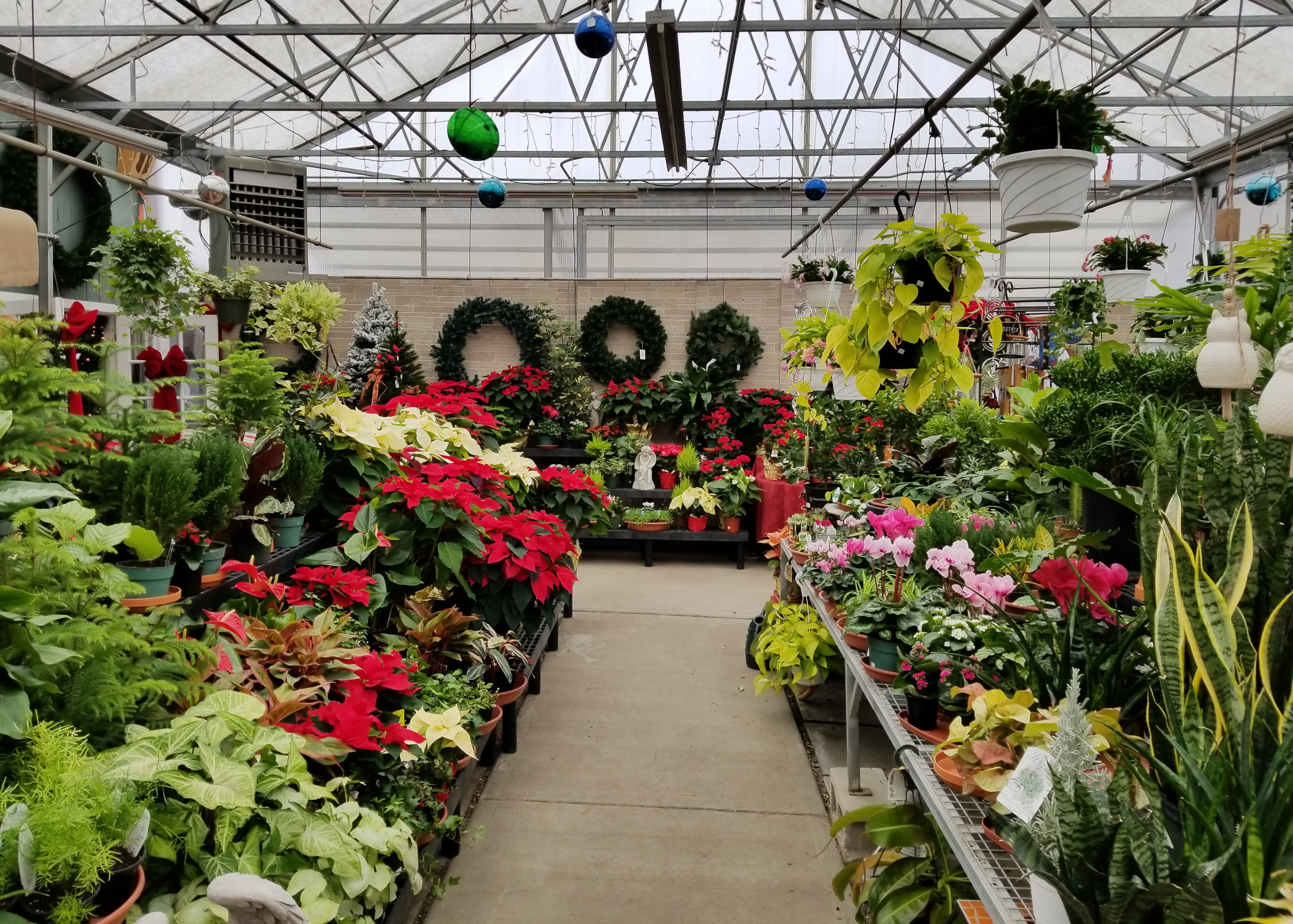 Cheshire Florist Flower Delivery by Cheshire Nursery Garden Center