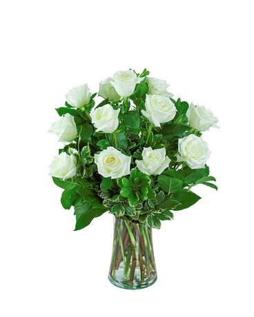 White Roses (12) Flower Arrangement