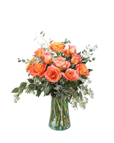 Free Spirit Roses (12) Flower Arrangement