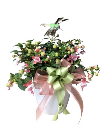 Symphony of Spring Custom product