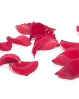 Red Rose Petals- Bag size,  inches height and  inches wide.