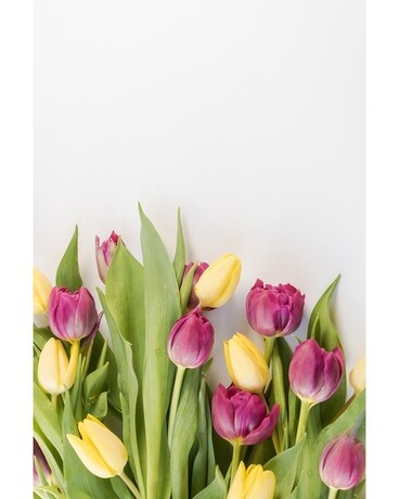Tulip Bouquet Flower Arrangement