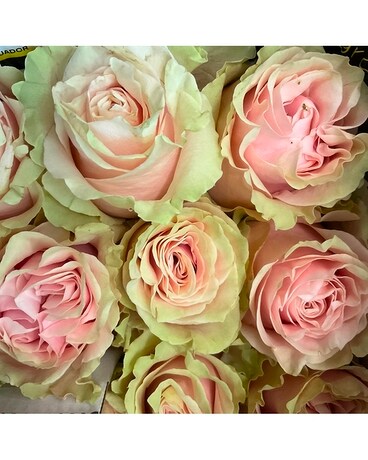 Rose Bouquet- Assorted colors Flower Arrangement