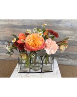 Beautiful Brights size,  inches height and  inches wide.