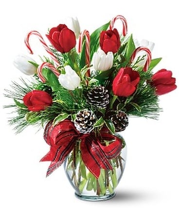 Peppermint Tulips Flower Arrangement