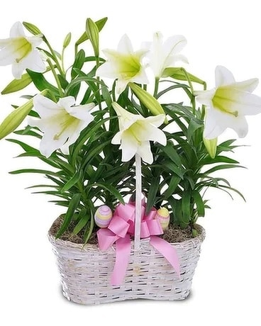 Double Easter Lily Basket Flower Arrangement