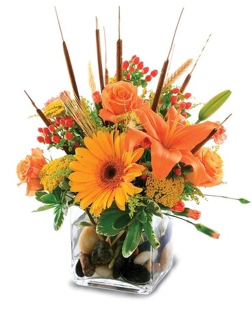 Donato's Splash of Autumn Flower Arrangement