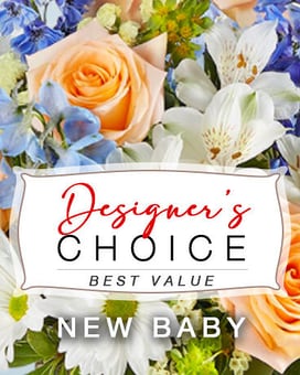 New Baby Designer's Choice