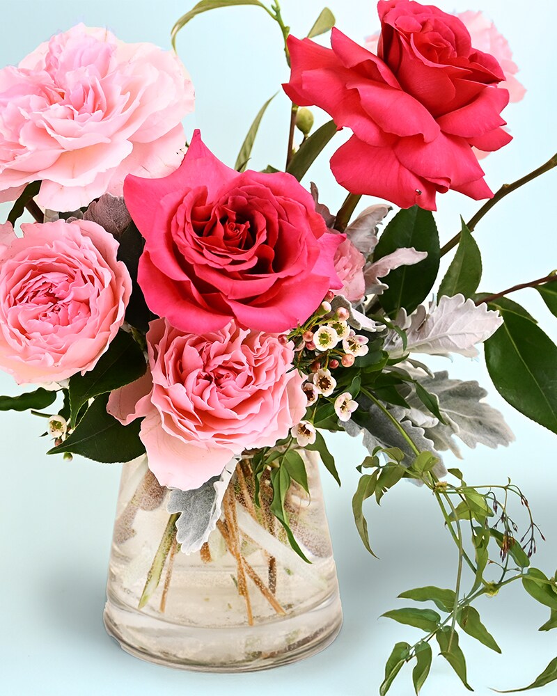 Tickled Pink in Boulder CO - Sturtz & Copeland