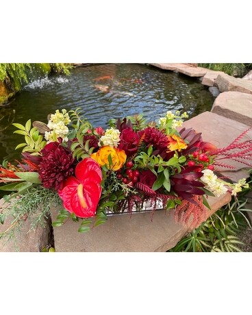 Winter Fiesta Specialty Arrangement