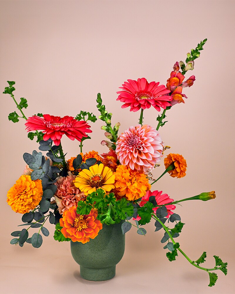 Flatiron Jack O Lantern in Boulder CO - Sturtz & Copeland