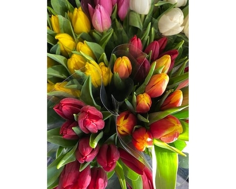 tulip lover Flower Arrangement