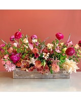 Deluxe - 24in. Box size,  inches height and  inches wide.