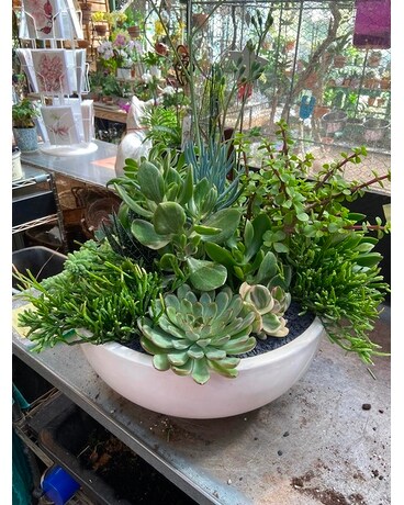 Medium Beautiful Succulent Plant Flower Arrangement