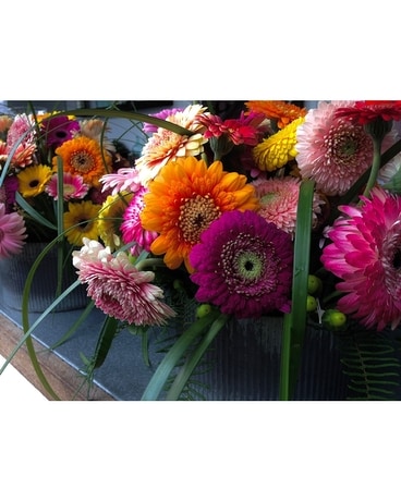Colorful Gerbera Daisies Flower Arrangement