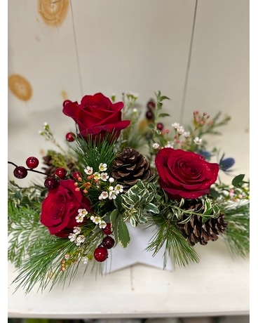 Winter Star Flower Arrangement