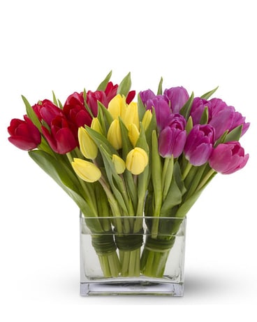 Tulip Splendor Flower Arrangement