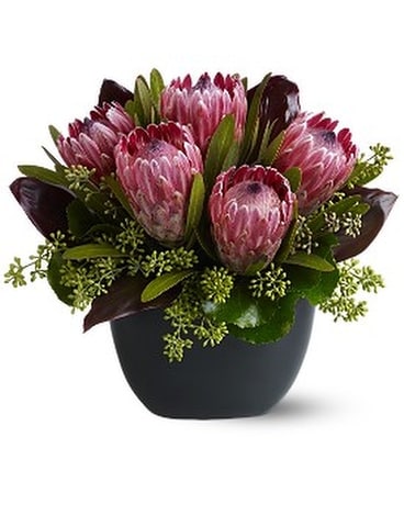 Positively Protea Flower Arrangement