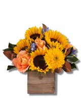 As Shown size,  inches height and  inches wide.