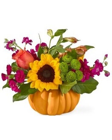 Bippity Boppity Pumpkin bouquet Flower Arrangement