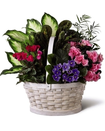 Standard size, 16 inches height and 15 inches wide.