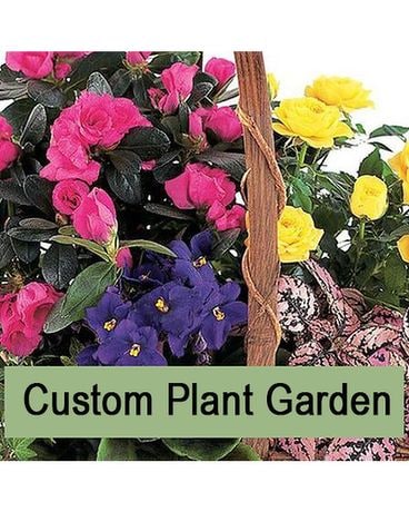 Custom Planter Designer's Choice Flower Arrangement