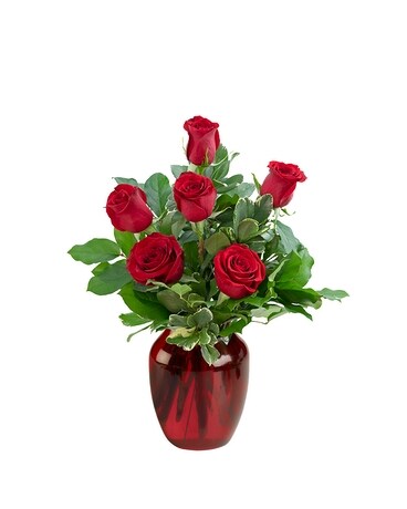 Half Dozen Roses Flower Arrangement