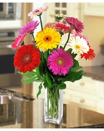 Gerbera Brights Flower Arrangement