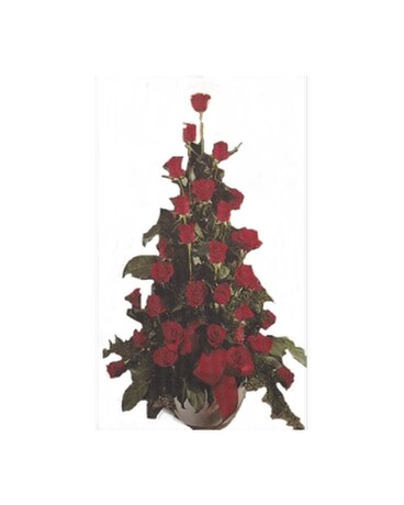ELEGANT RED ROSES