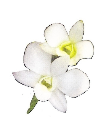 Graduation Product Flower Arrangement