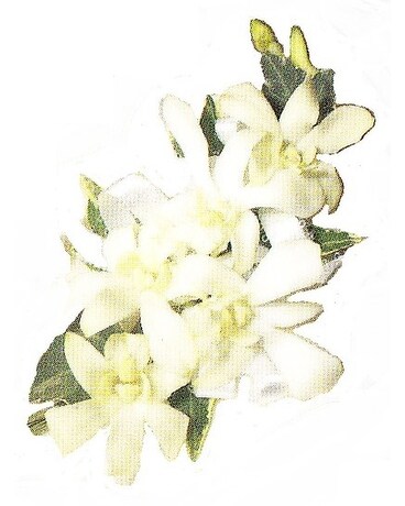 Graduation Product Flower Arrangement
