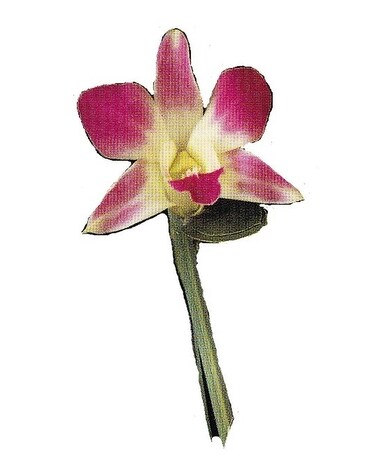 Custom Flower Arrangement
